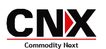 CNX Corporation Limited logo