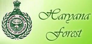 Forest Department logo