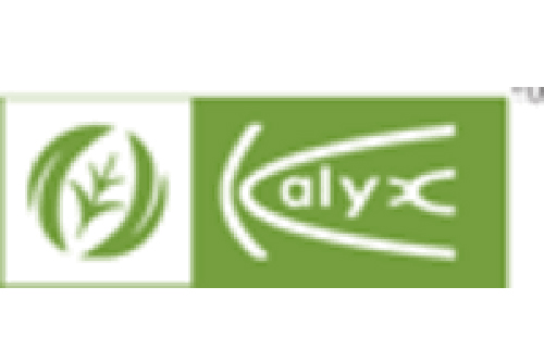 Kalyx Warehousing Pvt Ltd logo